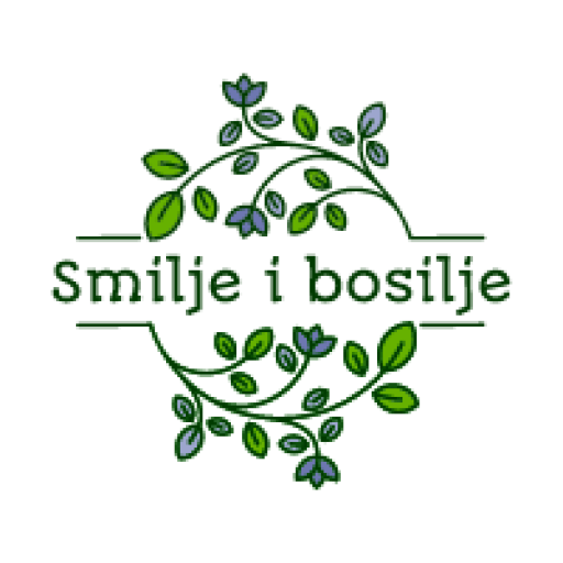 Smilje i bosilje